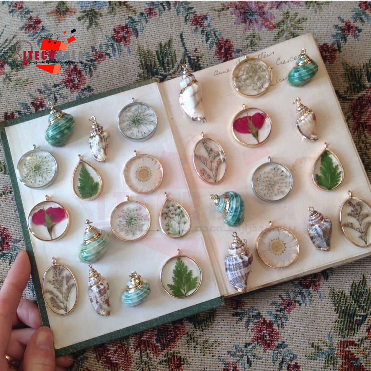 گل خشک مینیاتوری — تصویر ۲
