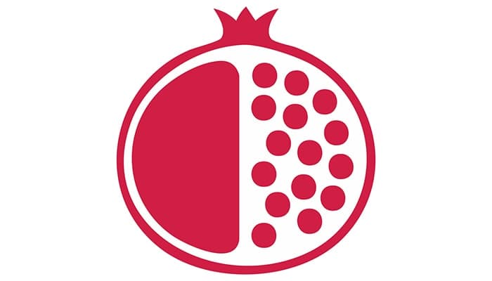 وکتور انار شب یلدا