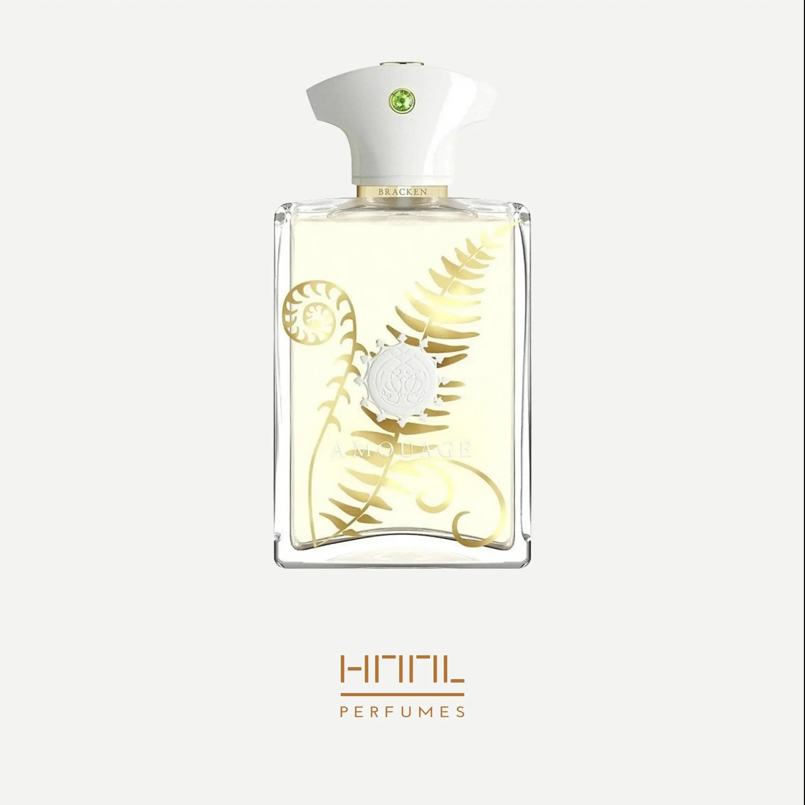 عطر ادکلن آمواج براکن مردانه | Amouage Bracken Man — تصویر ۴