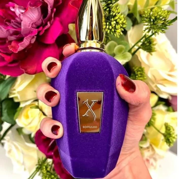 عطر ادکلن زرجف اکسنتو یونیسکس خنک و تلخ -اچنتو-زرجوف اکنتو-Xerjoff Accento درجه ۱ سوئیس — تصویر ۵