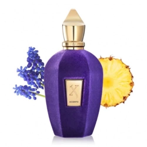 عطر ادکلن زرجف اکسنتو یونیسکس خنک و تلخ -اچنتو-زرجوف اکنتو-Xerjoff Accento درجه ۱ سوئیس — تصویر ۳