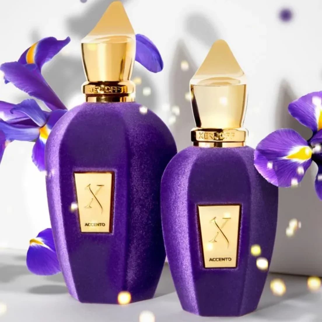 عطر ادکلن زرجف اکسنتو یونیسکس خنک و تلخ -اچنتو-زرجوف اکنتو-Xerjoff Accento درجه ۱ سوئیس — تصویر ۴