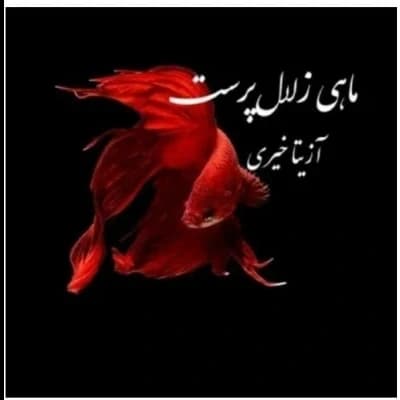رمان ماهی زلال پرست اثر آزیتا خیری
