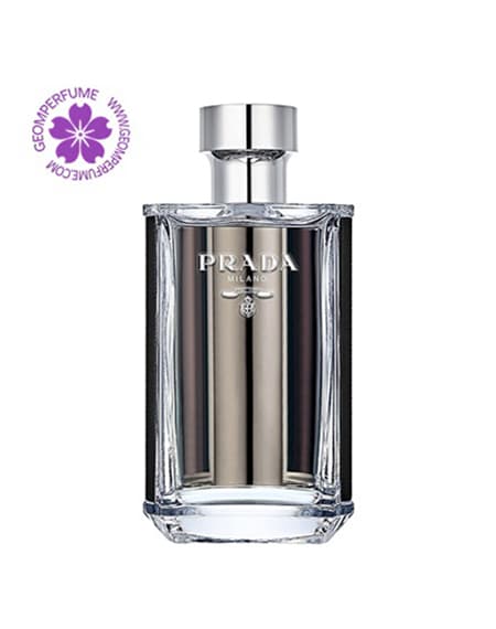 عطر ادکلن پرادا لهوم اورجینال | prada L’Homme — تصویر ۳