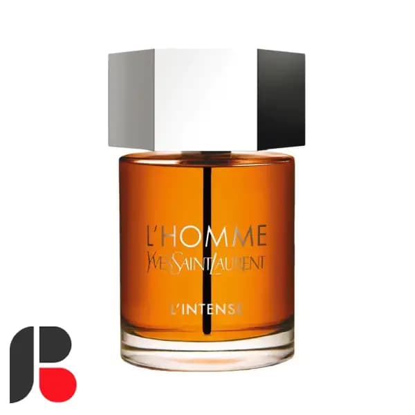عطر ادکلن ایو سن لورن ال هوم پرفیوم اینتنس | Yves Saint Laurent L’Homme Parfum Intense — تصویر ۳