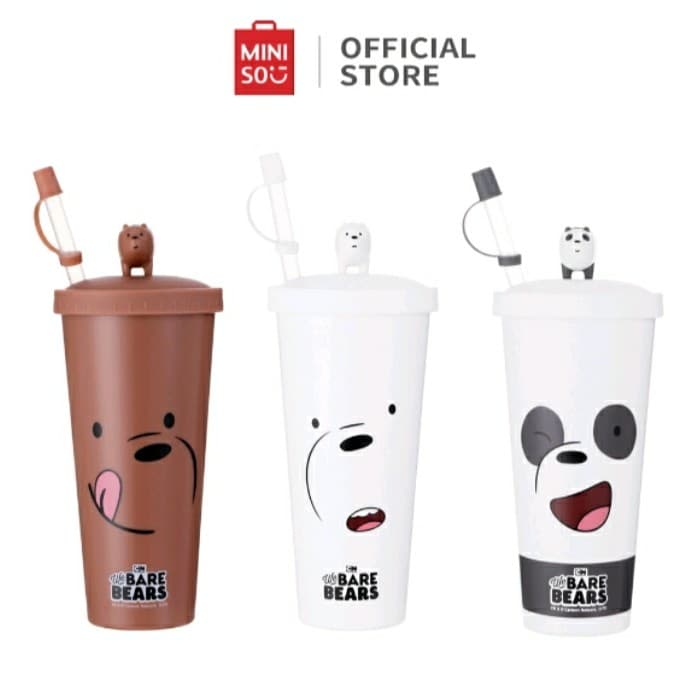 بطری در دار و نی دار مینیسو، مدل We Bare Bears- Water Bottle، ما خرسها، قهوایی/گریزی، 300 میلی لیتر