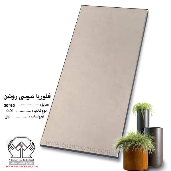 کاشی فلوریا طوسی روشن 60*30 کاشی نیلوفر