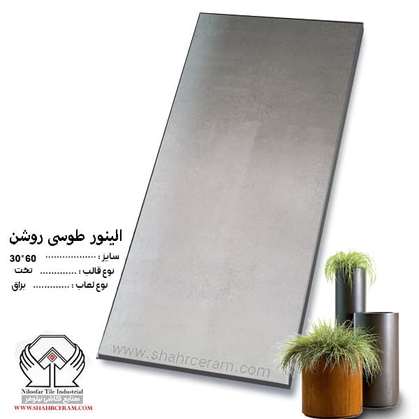 کاشی الینور طوسی روشن 60*30 کاشی نیلوفر