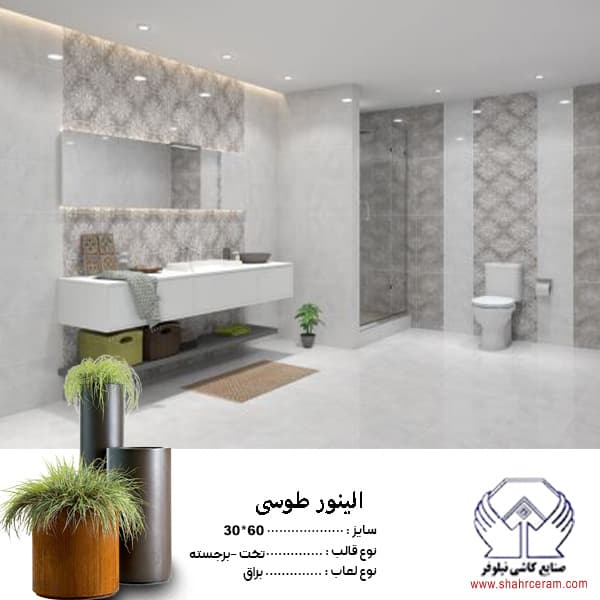 کاشی الینور طوسی دکور 60*30 کاشی نیلوفر — تصویر ۲