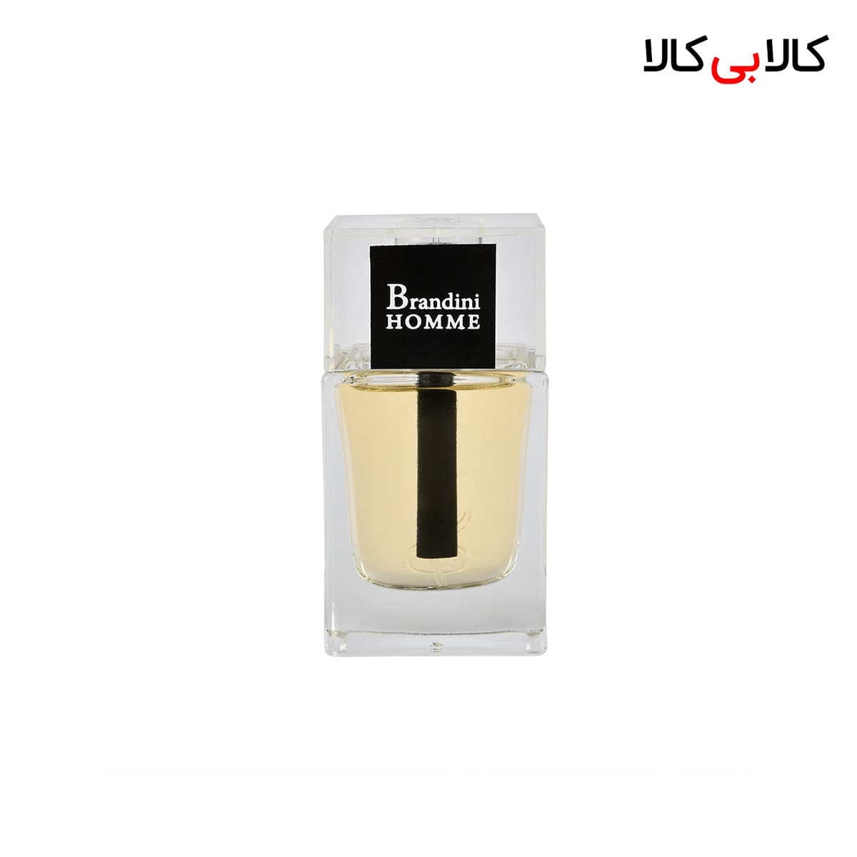 عطر جیبی برندینی هوم مردانه 33 میلی لیتر — تصویر ۲
