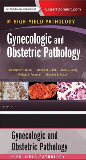 دانلود کتاب High Yield Gynecologic Obstetrics Pathology