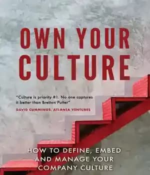 دانلود کتاب Own Your Culture: How to Define, Embed and Manage your Company Culture – مالک فرهنگ خود باشید: چگونه…