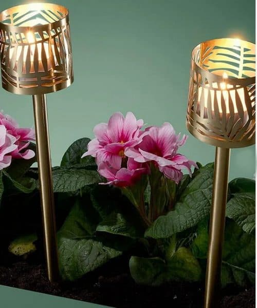 جاشمعی عصایی چیبو المان