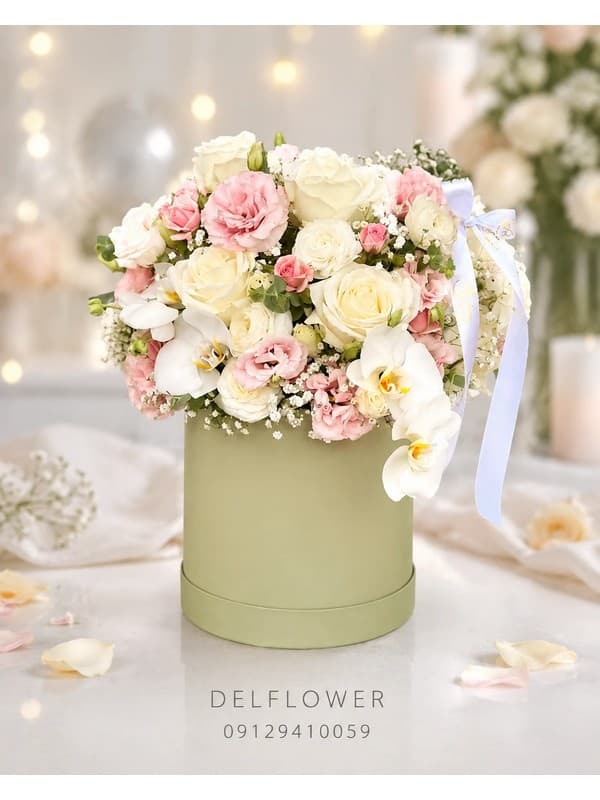 گل برای اتاق DC80D6