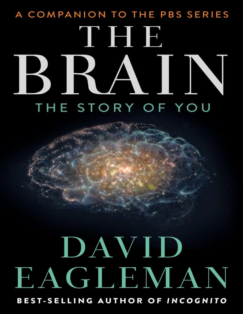 کتاب مغز (The Brain Book) نسخه انگلیسی PDF | دیوید ایگلمن