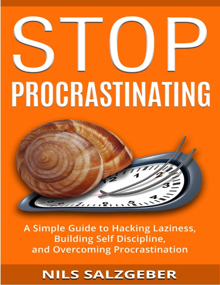 کتاب اهمال کاری را متوقف کن (Stop Procrastinating) نسخه انگلیسی PDF | نیلس سالزگبر