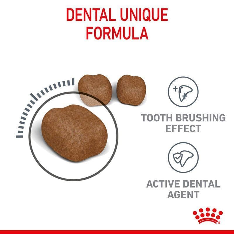غذای خشک گربه رویال کنین برای بهداشت دهان و دندان دنتال کر |Dental Care — تصویر ۵
