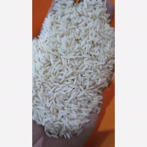 طارم هاشمی محلی اعلا و اصیل شاهزاده (عمده) ( 5 ) گونی ( 10 ) کیلویی ارسال رایگان