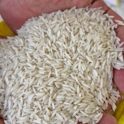 برنج وحشی دونوج اعلا 10 کیلویی((ارسال رایگان))