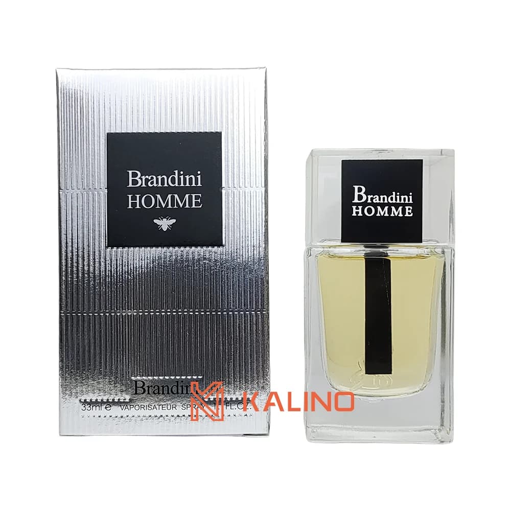 ادکلن مردانه دیور هوم (نقرهای) برندینی حجم 33 میل | Brandini Dior Homme