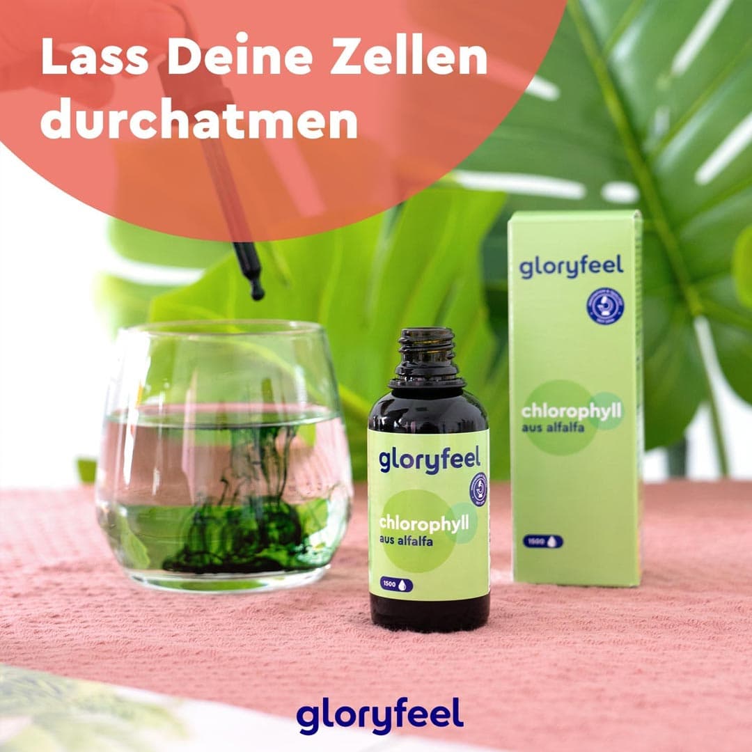 کلروفیل مایع گلوری فیل مدل Chlorophyll Alfalfa حجم 30 میلی لیتر — تصویر ۷