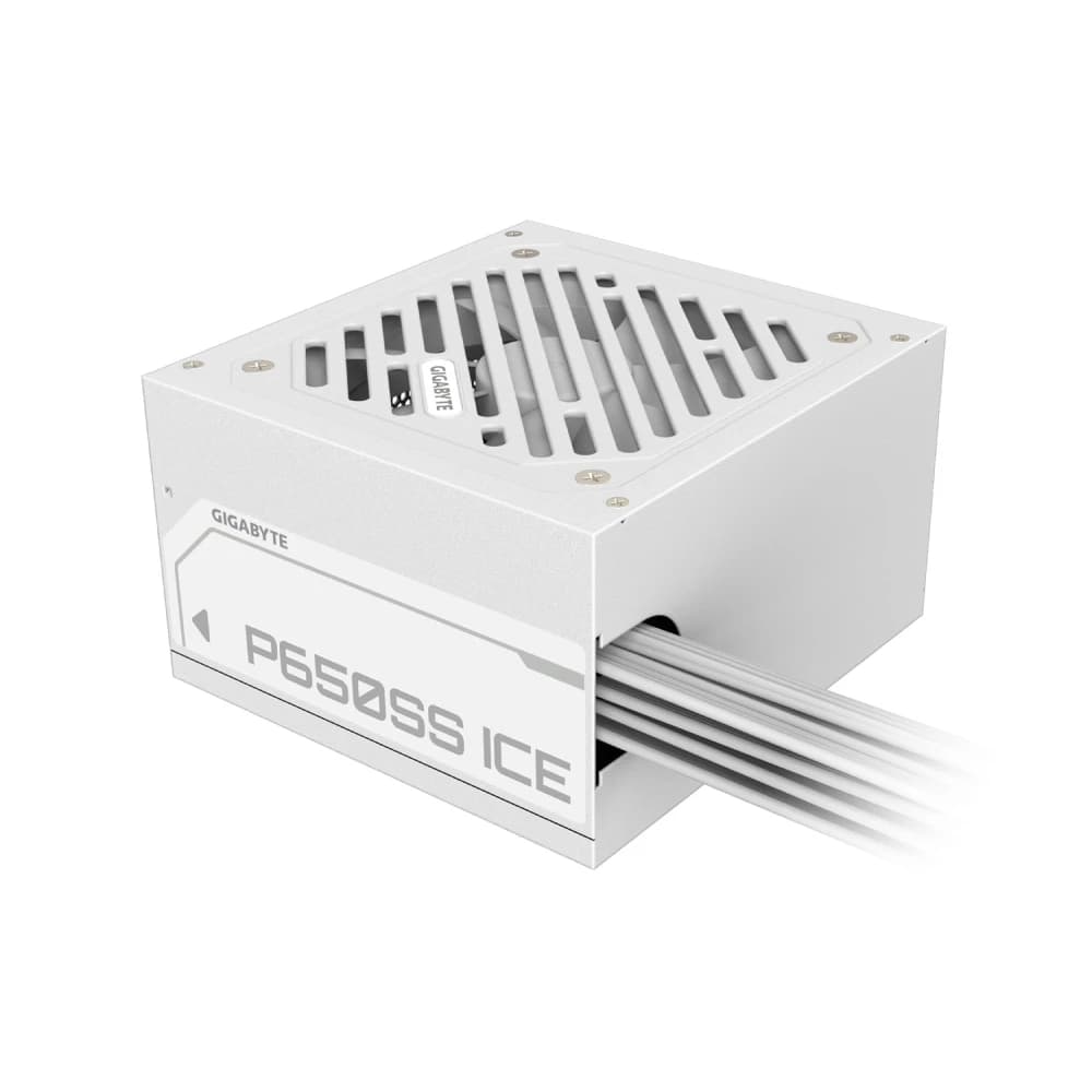 منبع تغذیه گیگابایت P650SS ( Silver ) — تصویر ۳