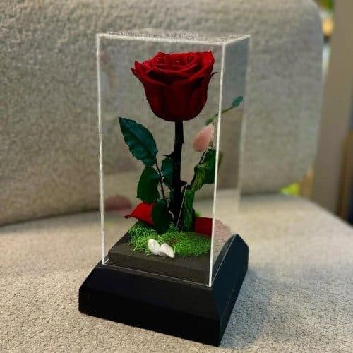 چطور گل رز جاودان را برای جشن فارغالتحصیلی سفارش دهم؟