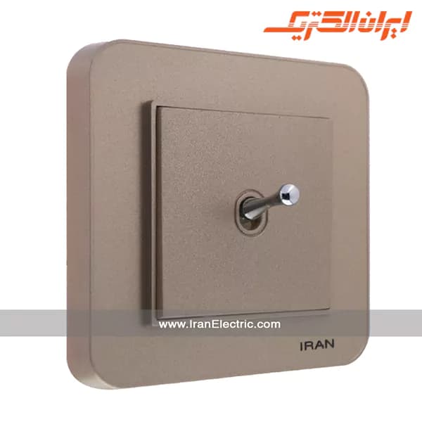 شاسی زنگ اهرمی ارس بژ