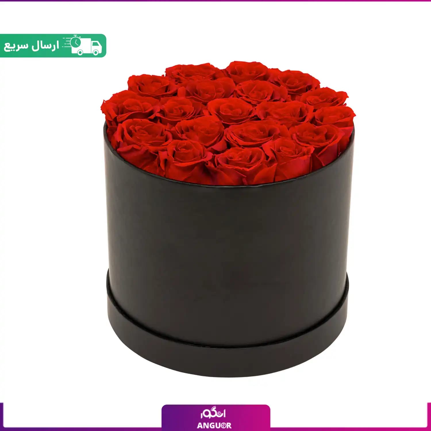 باکس گل رز 20 شاخه (رز هلندی)
