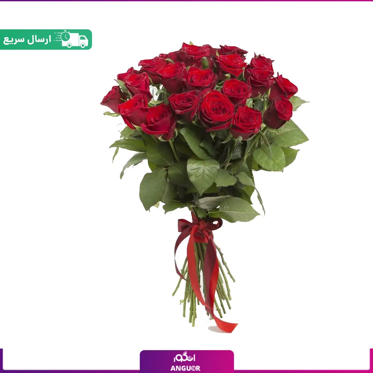 دسته گل 24 شاخه رز قرمز ممتاز (رز هلندی)