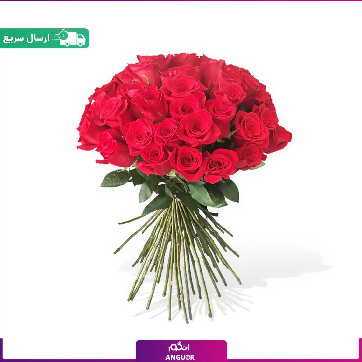 دسته گل رز 50 شاخه قرمز (رز هلندی)