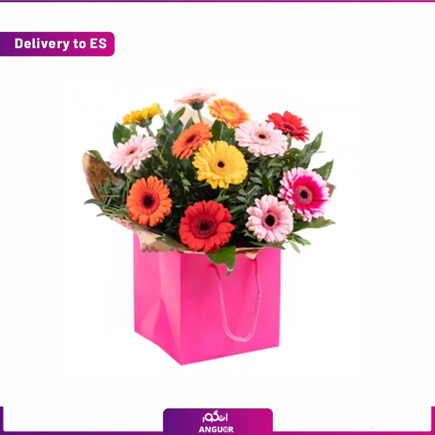 باکس گل ژربرا (ارسال گل به اسپانیا)