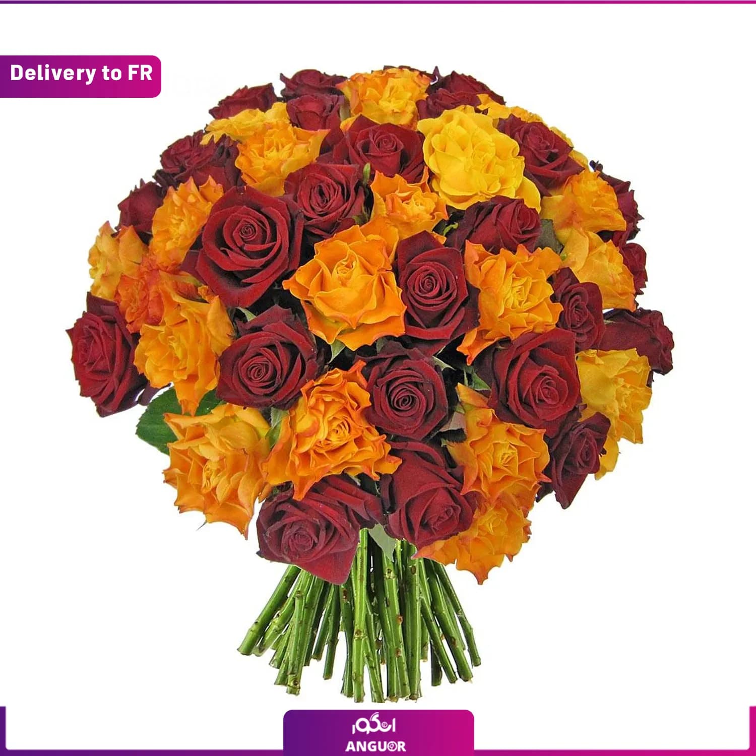 Vulcan roses (Delivery to France)