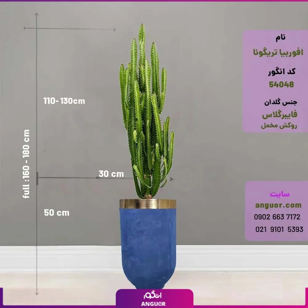 گلدان فایبرگلاس روکش مخملی با افوربیا تریگونا — تصویر ۴
