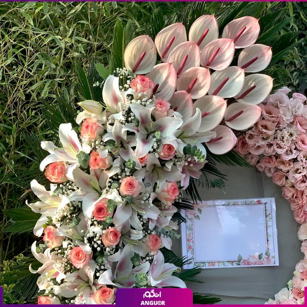 تاج گل رنگی — تصویر ۳
