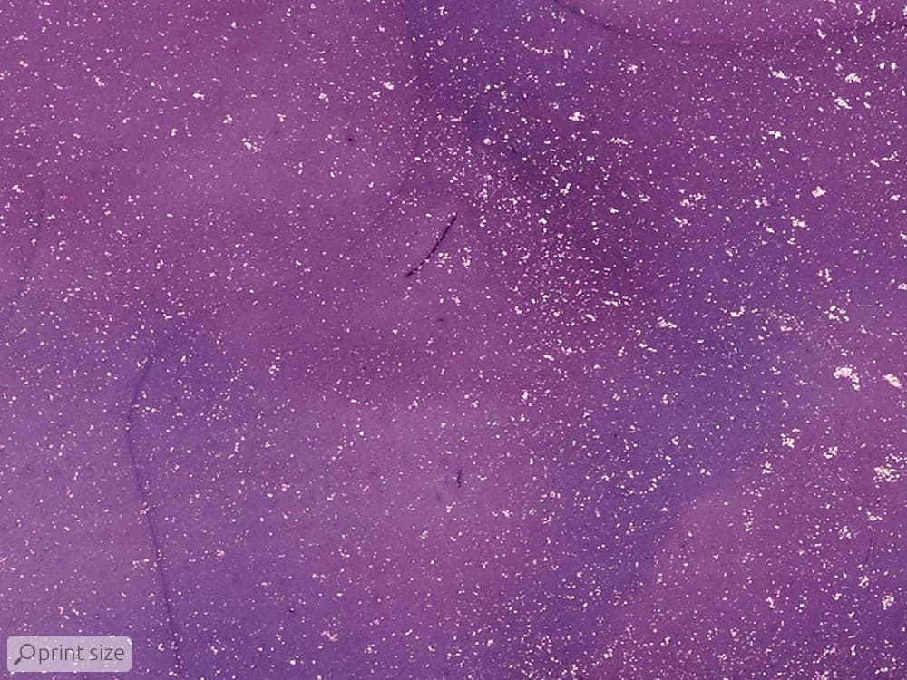 پوستر دیواری گل فانتزی M11019900 — تصویر ۴