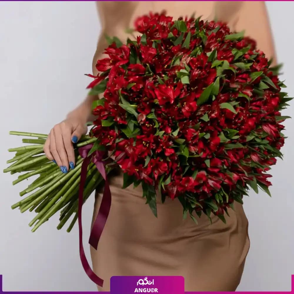 دسته گل آلسترومریا قرمز (58 شاخه)