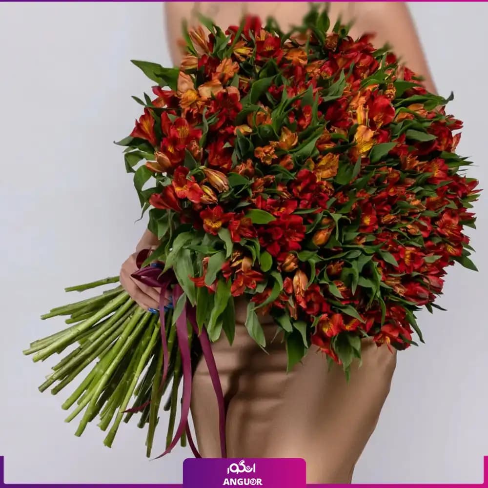 دسته گل آلسترومریا قرمز 110 شاخه