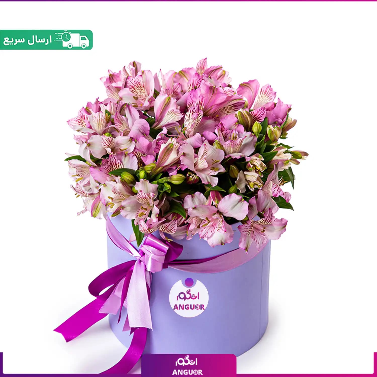 باکس گل آلسترومریا صورتی (20 شاخه)