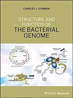 دانلود کتاب Structure and Function of the Bacterial Genome
