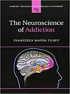 دانلود کتاب The Neuroscience of Addiction