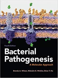 دانلود کتاب Bacterial Pathogenesis: A Molecular Approach