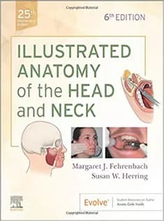 دانلود کتاب Illustrated Anatomy of the Head and Neck
