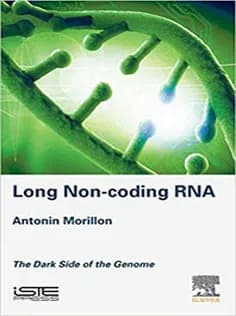 دانلود کتاب Long Non-coding RNA The Dark Side of the Genome