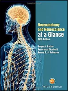 دانلود کتاب Neuroanatomy and Neuroscience at A Glance