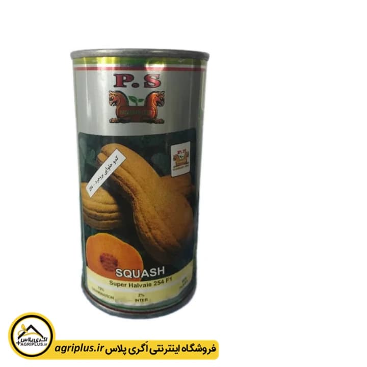 بذر کدو حلوایی بروجرد پاسارگاد