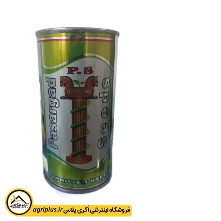 بذر کدو حلوایی بروجرد پاسارگاد — تصویر ۲