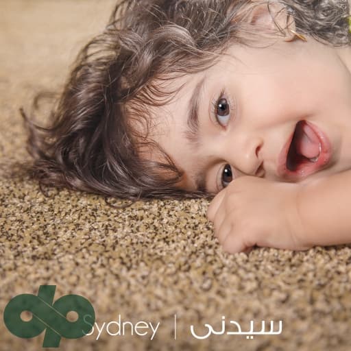 موکت ظریف مصور طرح سیدنی 5212 — تصویر ۲