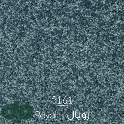 موکت ظریف مصور طرح رویال 5161