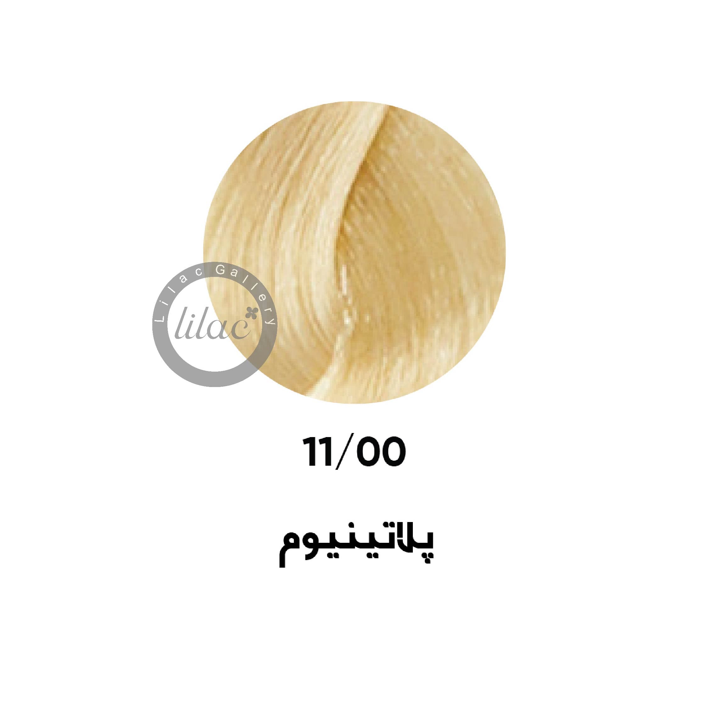 ارایبا erayba gamma رنگ مو شماره 11.00 پلاتینیوم 100 میل